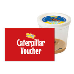 Refill Caterpillars for Butterfly Kits 3-5pk  hi-res