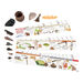 TTS Stone Age Archaeo\-Box Artefact Collection KS2  hi\-res