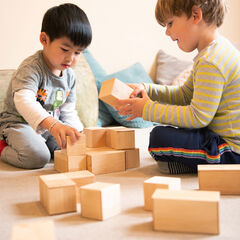 TTS Wooden Magnetic Construction Blocks  hi-res