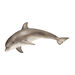 Small World Detailed Ocean Creatures Collection 7pcs  hi\-res