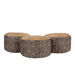 Learn about Nature Tree Stump Seat  hi\-res