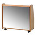 Millhouse Mobile Trolley Display \x26 Mirror Back  hi\-res