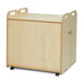 Millhouse Pack Away Cabinet  hi\-res