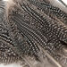 Feather Pack Assorted 78g  hi\-res