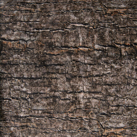 Learn about Nature Tree Stump Seat  hi\-res