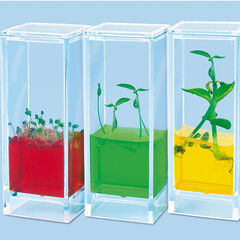 See Plants Grow Laboratory  hi-res