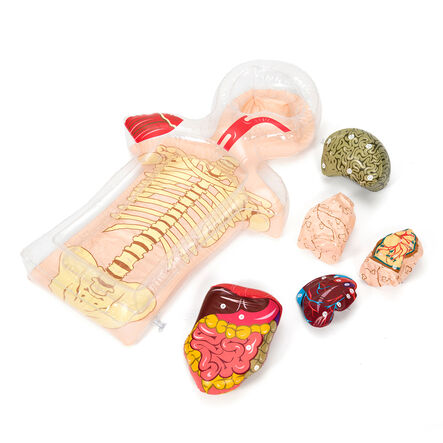 Healthy Living PSHE Activity Set  hi\-res