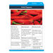 Comprehension Strategies  hi\-res