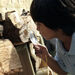Outdoor Bug Hotel Insect Habitat  hi\-res