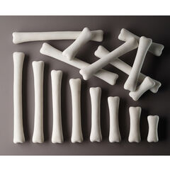 Large Dinosaur Bones Match and Measure Bones Set  hi-res