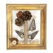 TTS Vintage Card Picture Frames 17pk  hi\-res