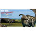 Amazing Dinosaurs Books  hi\-res