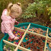 Tuff Tray Loose Parts Sorting Dividers  hi\-res