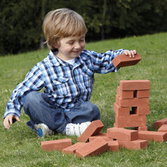 Real Mini Bricks L12 x D3.5cm 25pk  hi-res