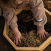 Explore Nook Play Timber Tuff Trays 3pk  hi\-res