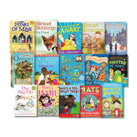 KS1 and KS2 Engaging Dyslexic Reader Books 15pk  hi\-res