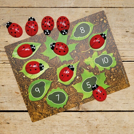 Ladybugs Counting Stones 22pk  hi\-res