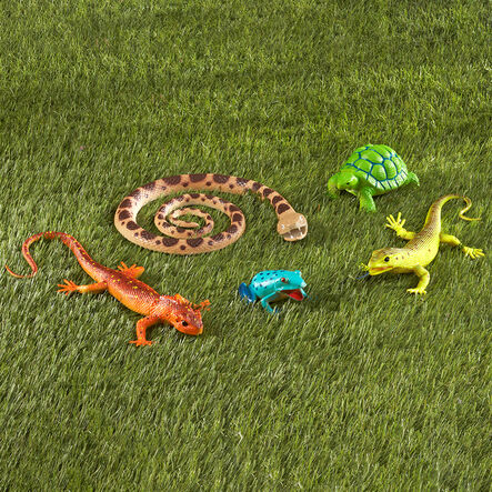 Small World Jumbo Reptiles and Amphibians 5pcs  hi\-res