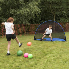 TTS Multipurpose Target and Goal  hi-res