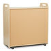 3 Column Tray Storage inc 15 Deep Translucent Trays  hi\-res