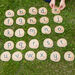 Free Flow Phonics Kit 3  hi\-res