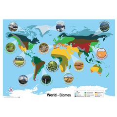 Biomes World Map A1  hi-res