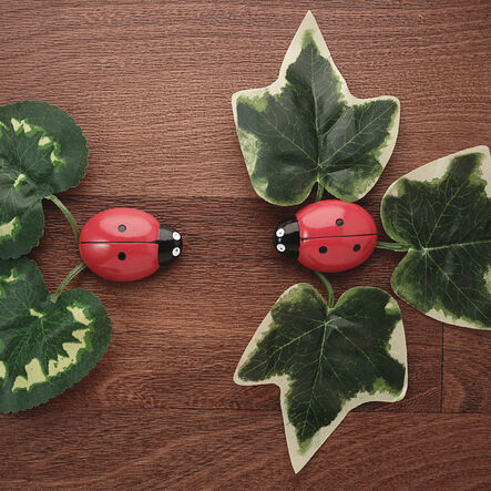 Ladybugs Counting Stones 22pk  hi\-res