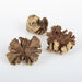 Loose Parts Natural Wood Roses 3pk  hi\-res