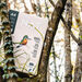Ledesma A4 NAT Copier Paper 75gsm 5 Reams  hi\-res