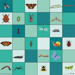 Loti-Bot Mat - Minibeasts  hi-res