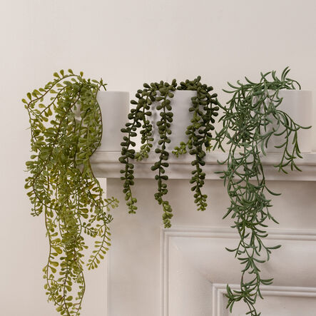 Trailing Plants in White Matt Ceramic Pots 3pk  hi\-res