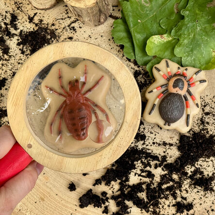 Yellow Door Small World Sensory Stone Insect 12pc  hi\-res