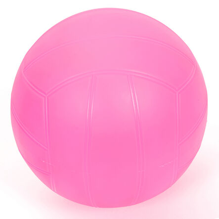 Non\-Sting Volleyball  hi\-res
