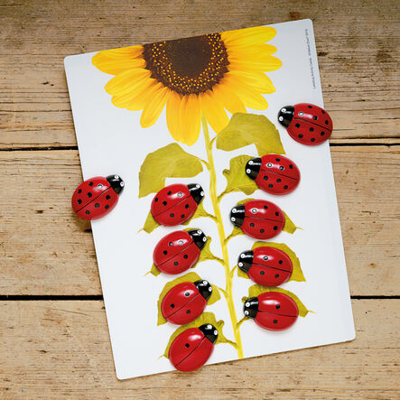Ladybugs Counting Stones 22pk  hi\-res