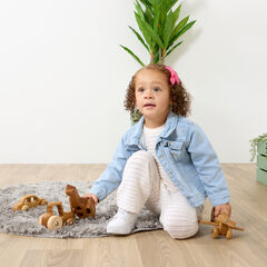 TTS Small World Wooden Vehicles - Plane, Tractor, Car & Heli 4pk  hi-res