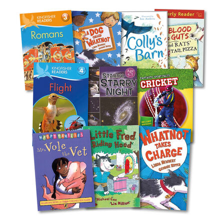 Level 10 White Book Band Booster Books 10pk  hi\-res