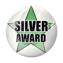 Reward Gold Silver Bronze Pin Badges 45pk  hi-res