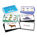TTS French Phonics Vocabulary Builder Activity Cards  hi\-res