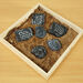 Sensory Fossil Replica Set 6pcs  hi\-res