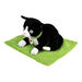 TTS Weighted Lap Buddies and Blanket  hi\-res