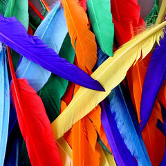 Quill Feathers Assorted 25pk  hi-res