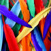 Quill Feathers Assorted 25pk  hi\-res