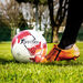 Precision Fusion Football Bundle 10pk  hi\-res