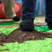 Happy Feet Forest Path Sensory Play Mats 15pk  hi\-res