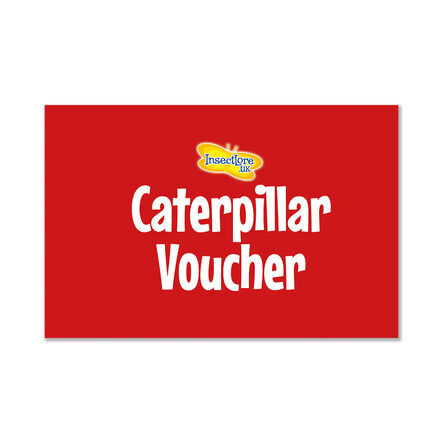 Refill Caterpillars for Butterfly Kits 3\-5pk  hi\-res