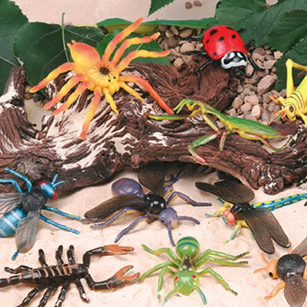 Animals_&_Minibeasts