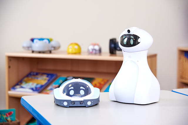 Programmable Robots